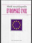 Malá encyklopedie Evropské unie - náhled