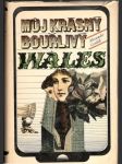 Můj krásný bouřlivý Wales - náhled