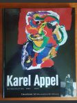 Karel Appel Retrospective 1945-2005 - náhled