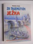 Za tajemstvím ježka - proč v ulicích teče krev, aneb, 7 ostnů k dosažení cíle - náhled