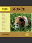 Morče abeceda chovatele - náhled