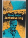 Jantarové sny - náhled