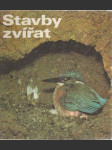 Stavby zvířat - náhled