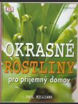 Okrasné rostliny pro příjemný domov - náhled