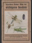 Schreibers kleiner Atlas der wichtigsten Insekten - náhled