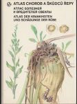 Atlas chorob a škůdců řepy - náhled