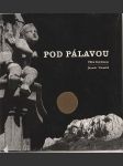 Pod Pálavou - náhled