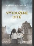 Vytoužené dítě - náhled