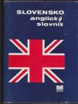 Slovensko-anglický slovník - náhled