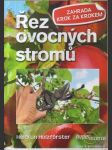 Řez ovocných stromů - náhled