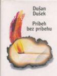 Príbeh bez príbehu - náhled