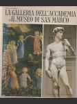 La galleria dell´ accademia e il museo di San Marco - náhled
