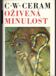 Oživená minulosť (veľký formát) - náhled