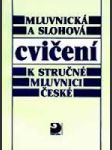 Mluvnická a slohová cvičení k stručné mluvnici české - náhled