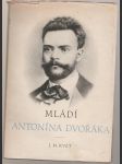 Mládí Antonína Dvořáka - náhled