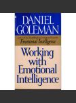 Working with Emotional Intelligence (Práce s emoční inteligencí) - náhled