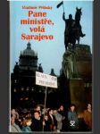 Pane ministře, volá Sarajevo - náhled