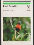 Ptáci Austrálie - náhled