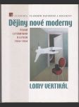 Dějiny nové moderny - Lomy vertikál - Česká literatura v letech 1924 - 1934 - náhled