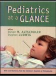 Pediatrics at a Glance - náhled