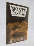Monte Cassino - náhled