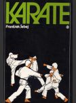Karate (veľký formát) - náhled