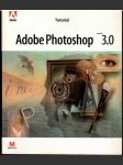 Adobe Photoshop 3.0 version - náhled