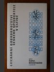 Literární dobrodružství českého spisovatele v cizině - (aneb o ctihodném povolání kouzla zbaveném) - náhled