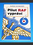 Pilot RAF vypráví - náhled