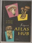 Kapesní atlas hub - náhled