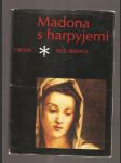 Madona s harpyjemi - román o Andreovi del Sarto - náhled