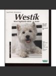 Westík (pes,psí plemena) - náhled