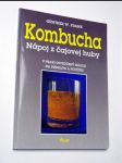 Kombucha nápoj z čajovej huby - náhled