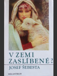 V zemi zaslíbené - náhled