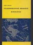 Velkomoravské hradiště Mikulčice - náhled