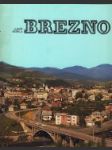 Brezno - náhled