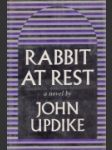 Rabbit at rest - náhled