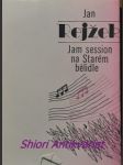 Jam session na starém bělidle - rejžek jan - náhled