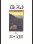 Der Böhmerwald und Josef Váchal - náhled
