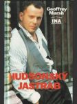 Hudsonský jastrab - náhled