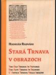 Stará Trnava v obrazoch - náhled