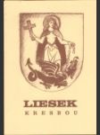 Liesek kresbou - náhled