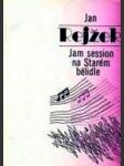 Jam session na starém bělidle - náhled