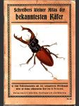 Schreibers kleiner Atlas der bekanntesten Käfer - 16 bar. tabulí - náhled