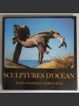 Sculptures d'Océan [texty a fotografie od Alain Mazeran-Hirigoyen] HOL - náhled