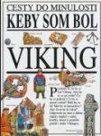 Keby som bol Viking - náhled