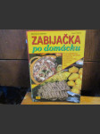 Zabijačka po domácku - náhled