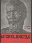 Michelangelo Buonarroti (Život a dílo) - náhled