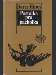 Poštolka pro pacholka - náhled