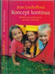 Koncept kontinua - náhled